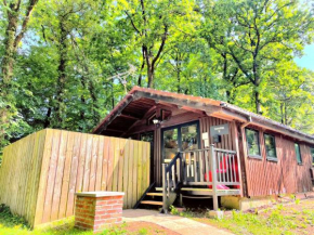 Snowdrop 9 Hot Tub-Woodlandlodges-Pembrokeshire